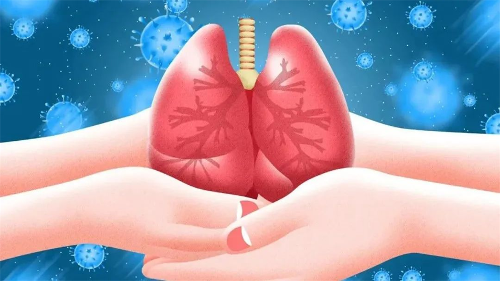 肺动力重启，揭秘肺结核康复期的肺功能提升法