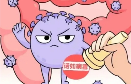 初夏预警！这些传染病正在蠢蠢欲动